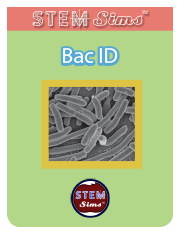 Bac ID Brochure's Thumbnail